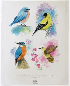 Print de arta - Specii de pasari