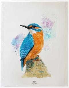 Print de arta - Pescaras albastru