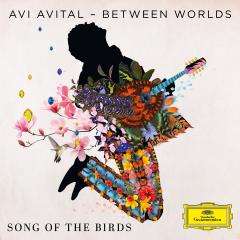 Between Worlds: Song of the Birds