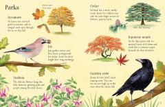 Things to Spot in Autumn