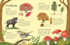 Things to Spot in Autumn