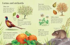 Things to Spot in Autumn