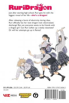 RuriDragon - Volume 2