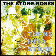 Turns Into Stone - Vinyl