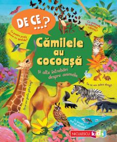 De ce...? Camilele au cocoasa
