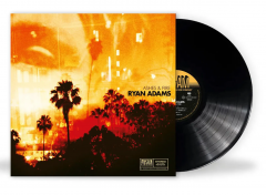 Ashes & Fire - Vinyl