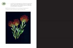 365 Days of Art in Colour