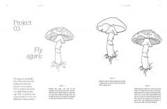 15-Minute Art Pen & Ink