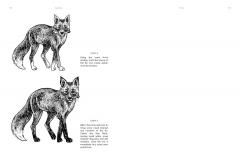 15-Minute Art Pen & Ink