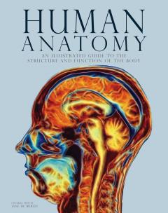 Human Anatomy