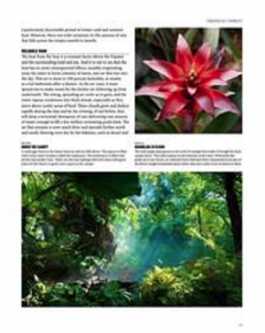 Natural History of the World