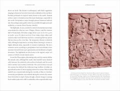 The Maya Myths
