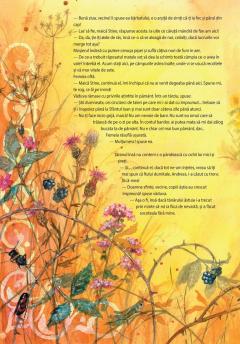 Trude, Stapana Ploii