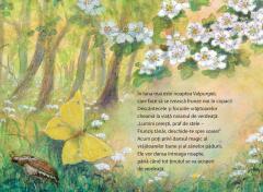 Vino cu mine in Tinutul Elfilor