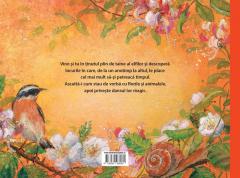 Vino cu mine in Tinutul Elfilor