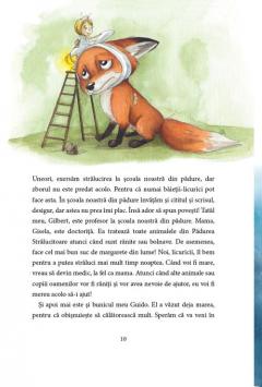 Povesti de noapte buna din Padurea Stralucitoare