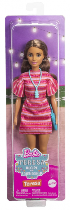 Papusa - Barbie & Teresa Recipe for Friendship - Teresa