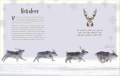 An Anthology of Christmas