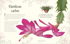 An Anthology of Christmas