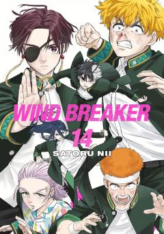 Wind Breaker - Volume 14