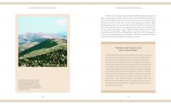 The Greek Gods and Their Worlds