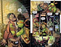 Batman/Teenage Mutant Ninja Turtles Adventures