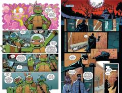 Batman/Teenage Mutant Ninja Turtles Adventures