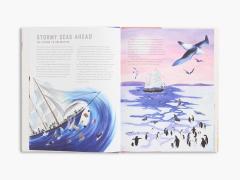 Race to the South Pole