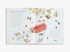 Race to the South Pole