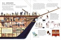 Race to the South Pole