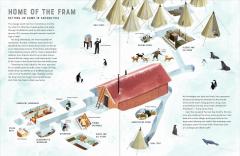 Race to the South Pole