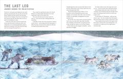 Race to the South Pole