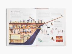 Race to the South Pole