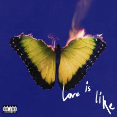 Love Is Like (Yellow Marble Vinyl)