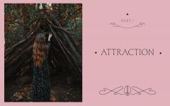 The Witch's Altar Book