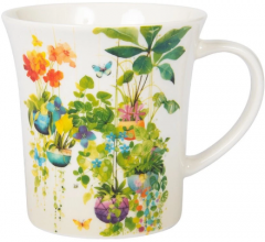 Cana - Hanging Plants