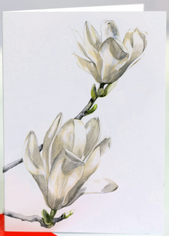 Felicitare - Magnolia Yulan