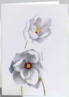 Felicitare - Magnolia Sieboldi Plena