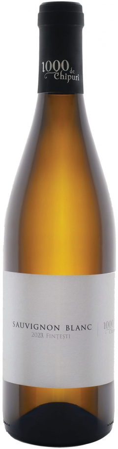 Vin alb - 1000 de Chipuri - Sauvignon Blanc, sec, 2024