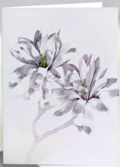 Felicitare - Magnolia Stellata Waterily