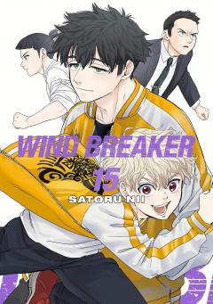Wind Breaker - Volume 15