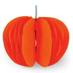 Dovleac de hartie - What a Pumpkin! - Pumpkin