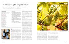 Wine from Grape to Glass