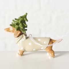 Ornament brad - Xander Dog - doua modele
