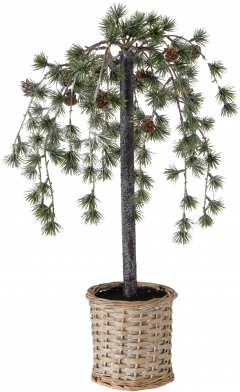 Obiect decorativ - Pine Willow