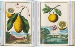 The Book of Citrus Fruits