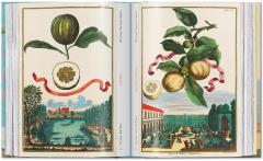 The Book of Citrus Fruits