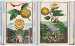 The Book of Citrus Fruits
