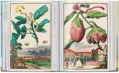 The Book of Citrus Fruits