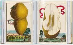 The Book of Citrus Fruits